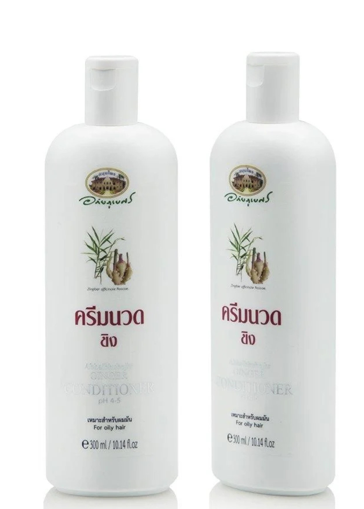 ABHAIBHUBEJHR GINGER CONDITIONER 300 ML.