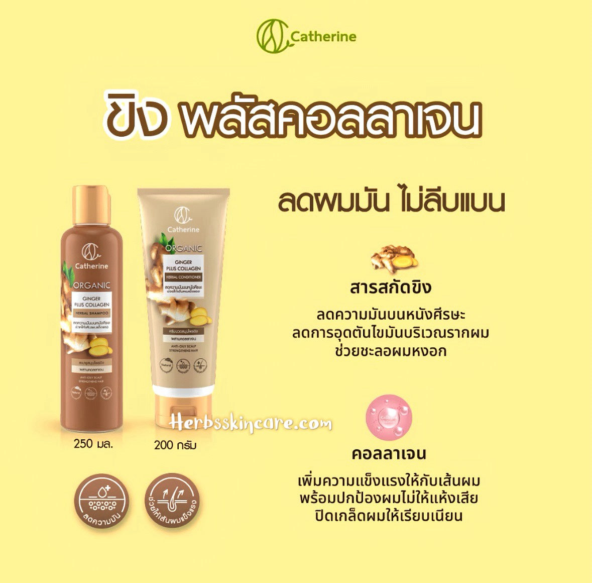 CHAMPÚ HERBAL DE JENGIBRE CON COLÁGENO 250 ml.