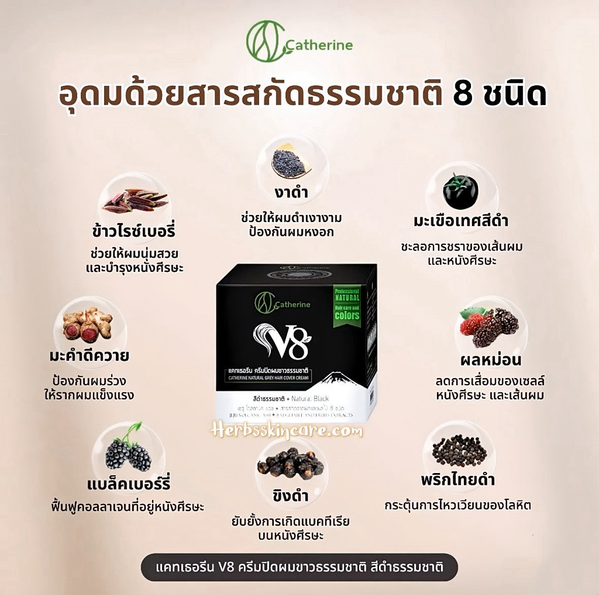 CATHERINE V8 CREMA CUBRE CANAS NATURAL - NEGRO 80 G.