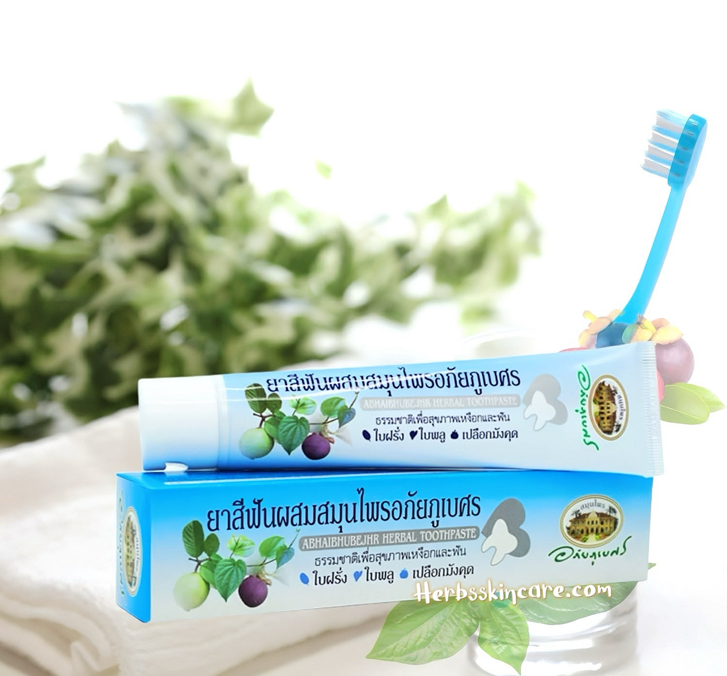 DENTIFRICE AUX HERBES ABHAIBHUBEJHR 70 G.