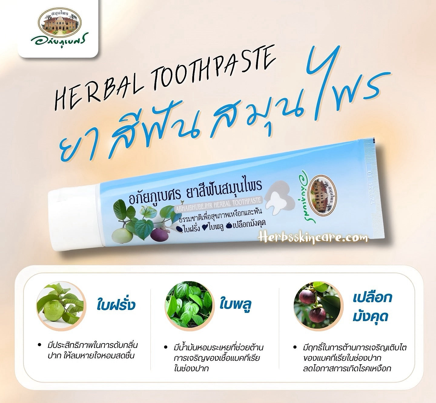DENTIFRICE AUX HERBES ABHAIBHUBEJHR 70 G.